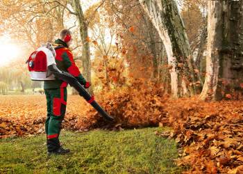 7 điều cần biết khi canh tác cao su