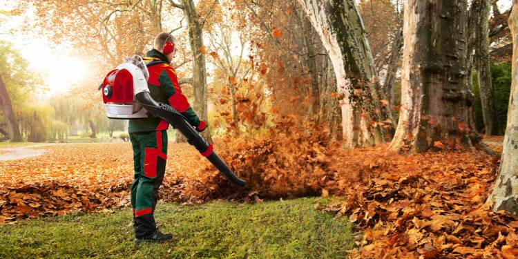 7 điều cần biết khi canh tác cao su