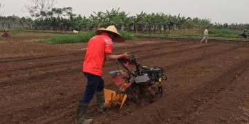 Top 3 Máy Xới Đất Nông Nghiệp Chất Lượng Cao