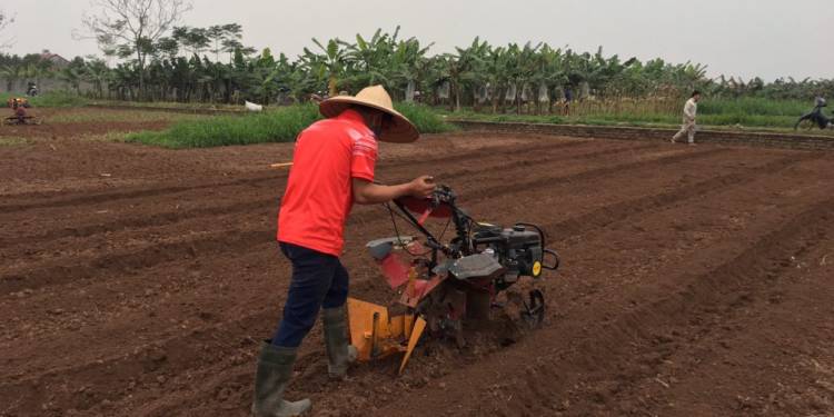 Top 3 Máy Xới Đất Nông Nghiệp Chất Lượng Cao