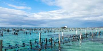 Giải pháp nuôi trồng thủy sản nước ngọt toàn diện