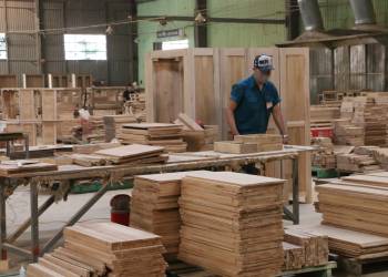 Giải pháp ngành lâm sản và 5 thiết bị từ Oshima