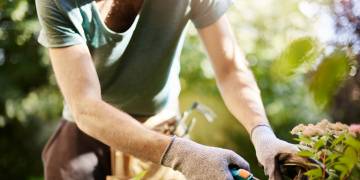 giải pháp sử dụng an toàn máy cắt cỏ