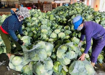 Giải pháp tiêu thụ nông sản mùa Covid-19