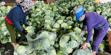 Giải pháp tiêu thụ nông sản mùa Covid-19