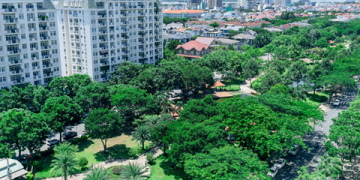 5 GIẢI PHÁP DÀNH CHO CANH TÁC CÂY XANH – ĐÔ THỊ