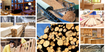 TOP 5 VẬT DỤNG PHẢI CÓ KHI LÀM NGÀNH LÂM SẢN