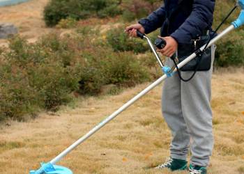 GIẢI PHÁP CANH TÁC CÂY CÀ PHÊ