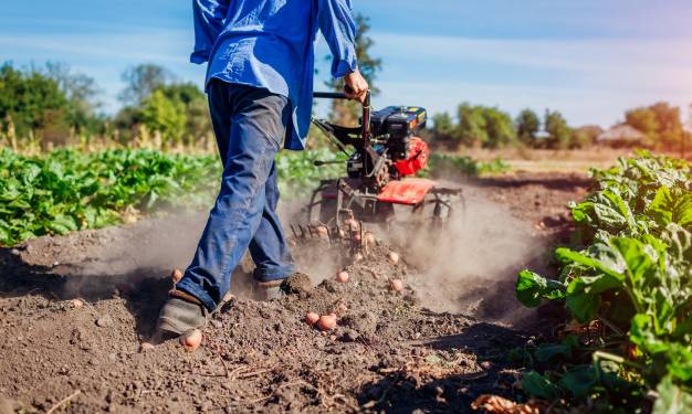 3 Loại Máy Thu Hoạch Nông Sản Hàng Đầu