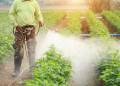 Giải pháp phun thuốc trừ sâu: 6 Điều Cần Lưu Ý Khi Phun Thuốc Trừ Sâu