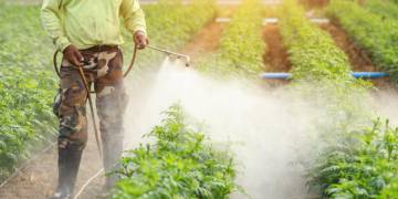 Giải pháp phun thuốc trừ sâu: 6 Điều Cần Lưu Ý Khi Phun Thuốc Trừ Sâu