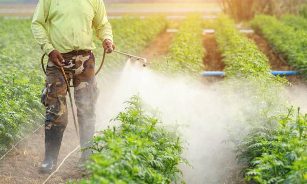 Giải pháp phun thuốc trừ sâu: 6 Điều Cần Lưu Ý Khi Phun Thuốc Trừ Sâu