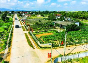 Những mô hình kinh doanh ở nông thôn hiệu quả mùa Covid-19