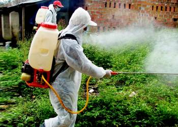 Giải pháp khử trùng chuồng nuôi phòng ngừa dịch bệnh