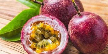 Giải pháp canh tác chanh dây – Đất trồng và làm cỏ