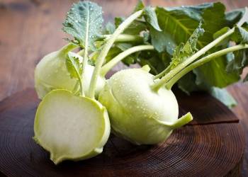 Giải pháp kỹ thuật trồng su hào đạt chuẩn