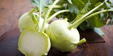 Giải pháp kỹ thuật trồng su hào đạt chuẩn