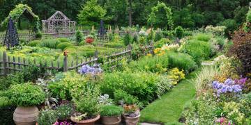 Giải pháp thao tác trồng hoa, cây cảnh