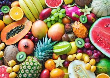 Giải pháp ngành nghề trồng xoài, cây ăn quả vùng nhiệt đới và cận nhiệt đới