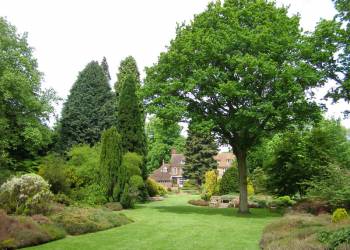 Giải pháp ngành nghề trồng hoa, cây cảnh