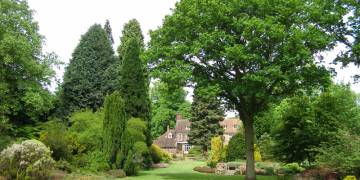 Giải pháp ngành nghề trồng hoa, cây cảnh