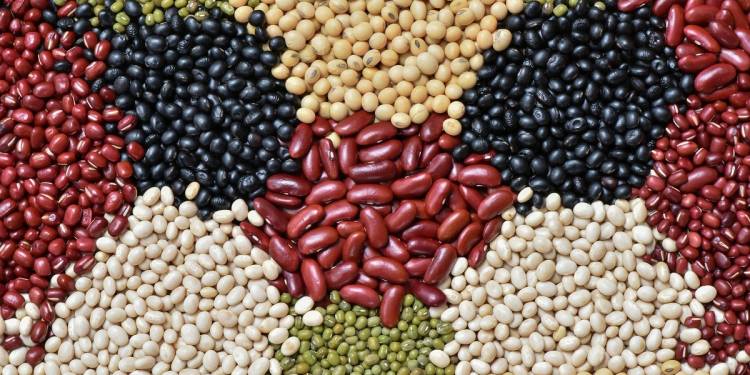 Giải pháp thao tác chuẩn bị trước khi gieo trồng đậu