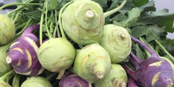 Giải pháp ngành nghề trồng su hào