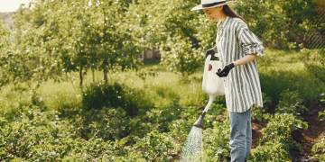 Giải pháp kỹ thuật chăm sóc sân vườn