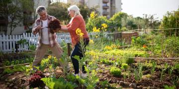 Giải pháp ngành nghề chăm sóc sân vườn