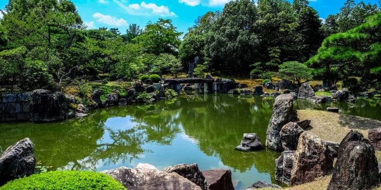 Giải pháp kỹ thuật trồng cây cỏ sân vườn