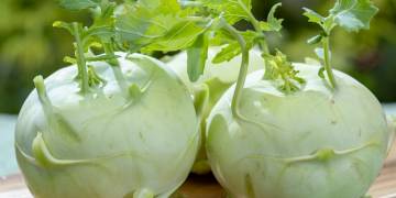 Giải pháp kỹ thuật chăm sóc su hào