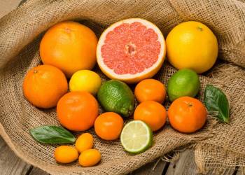 Giải pháp canh tác cây có múi – Thu hoạch