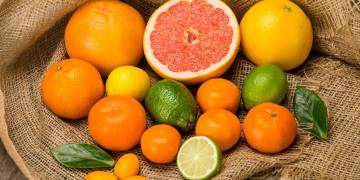 Giải pháp canh tác cây có múi – Thu hoạch