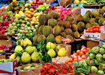 Giải pháp kỹ thuật chăm sóc cây xoài, cây ăn quả vùng nhiệt đới và cận nhiệt đới