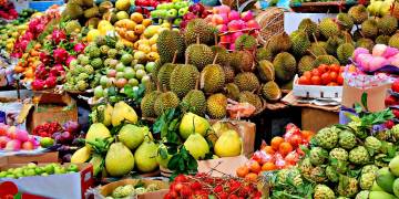 Giải pháp kỹ thuật chăm sóc cây xoài, cây ăn quả vùng nhiệt đới và cận nhiệt đới