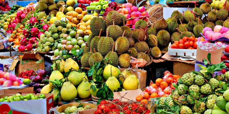 Giải pháp kỹ thuật chăm sóc cây xoài, cây ăn quả vùng nhiệt đới và cận nhiệt đới