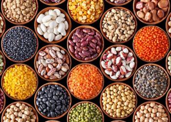 Giải pháp trồng các loại đậu