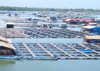 hướng dẫn sử dụng máy bơm nước trong chăn nuôi