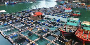 MÁY BƠM NƯỚC CHO TRANG TRẠI CHĂN NUÔI