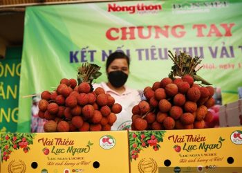 Khát vọng phát triển nông nghiệp Việt Nam theo hướng chuyển đổi mô hình tăng trưởng: Bài 2: Phải thay đổi tư duy của người nông dân