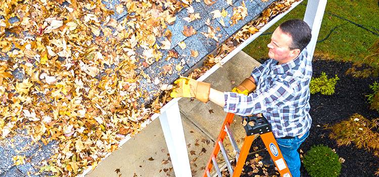 Giải pháp vệ sinh sân nhà, hiên nhà trong mùa dịch