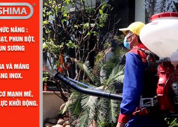 Giải pháp nuôi trồng thủy sản: thức ăn, phân bón và phòng trị bệnh