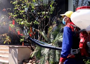 Giải pháp diệt côn trùng, diệt rầy mối tại nhà