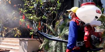 Giải pháp diệt côn trùng, diệt rầy mối tại nhà