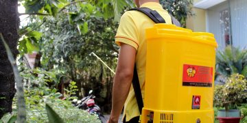 GIẢI PHÁP CHĂM SÓC HOA MÀU