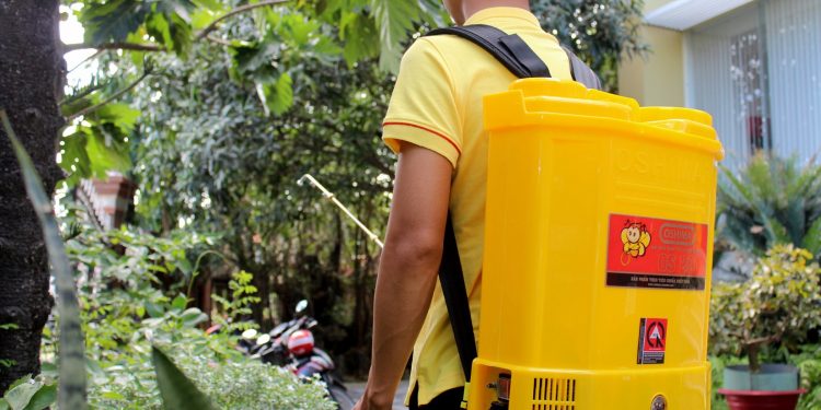 GIẢI PHÁP CHĂM SÓC HOA MÀU