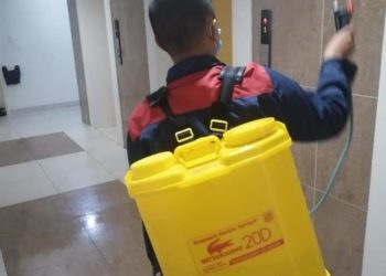 GIẢI PHÁP DIỆT MUỖI