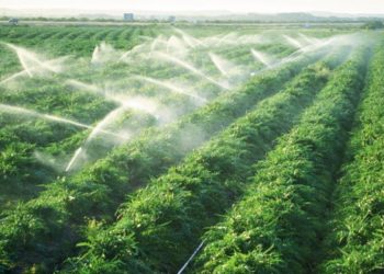 GIẢI PHÁP CHỌN NGUỒN NƯỚC CHO CÂY TRỒNG