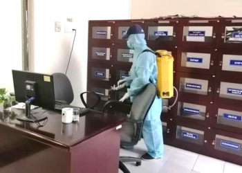 Giải pháp diệt muỗi: 6 Cách diệt muỗi tại nhà