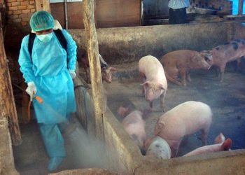 GIẢI PHÁP PHUN XỊT KHỬ TRÙNG